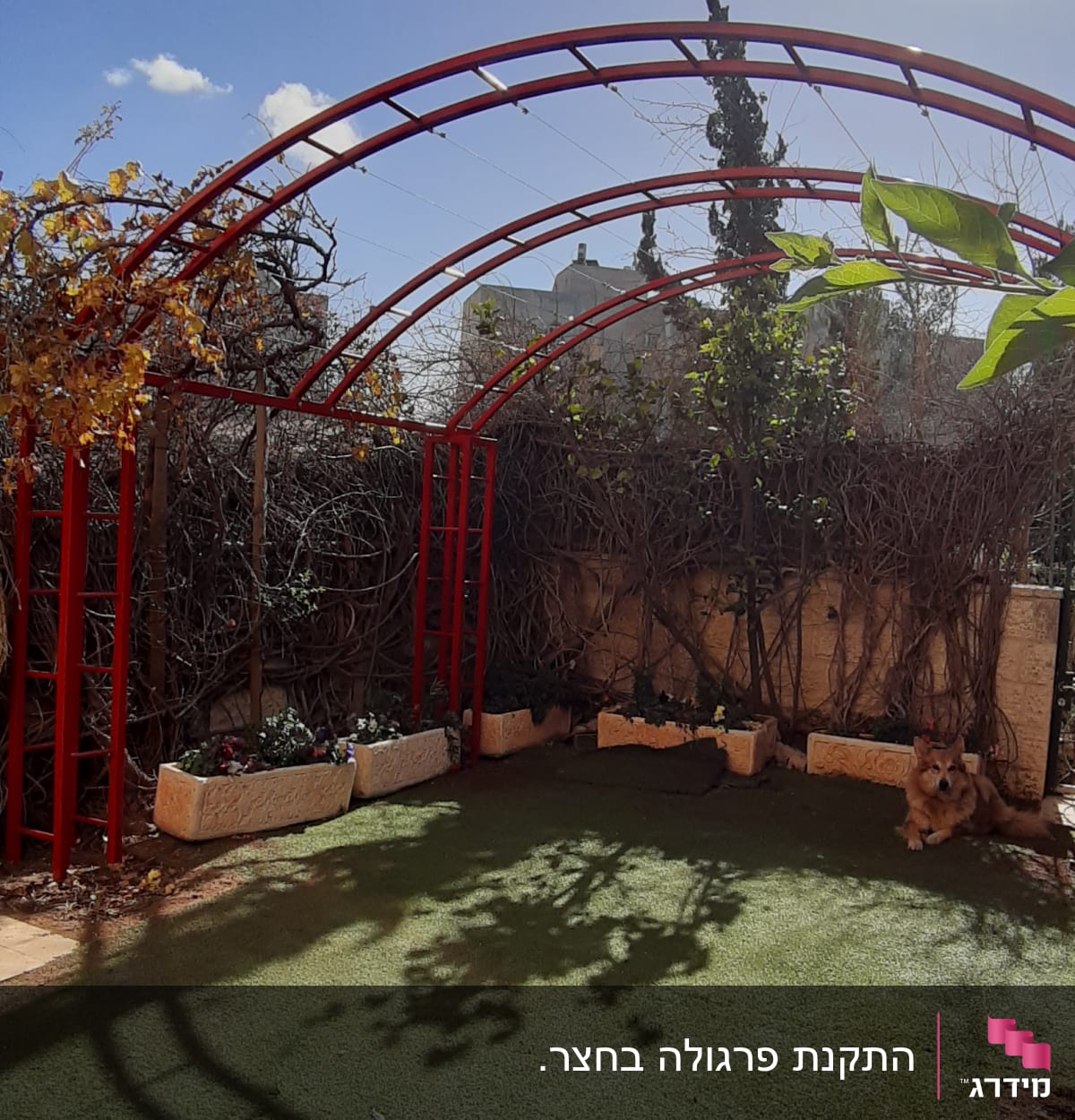 קשתות מתכת אדומות בגינה עם צמחייה